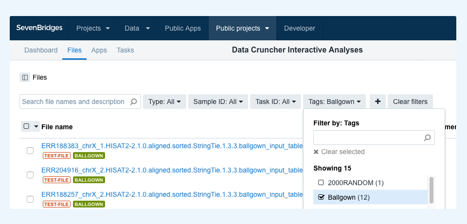 Filtering project files by tag