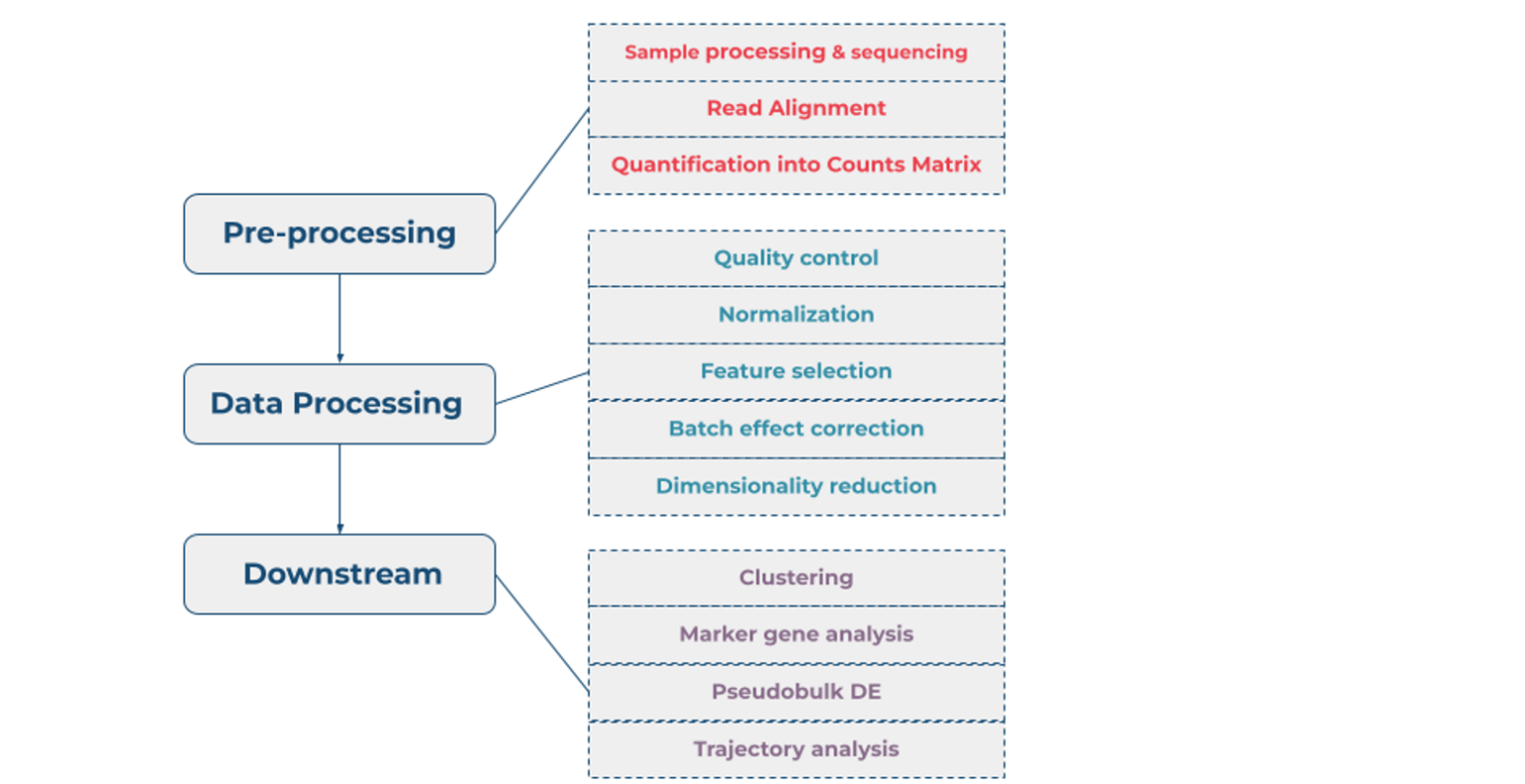 Highly Customizable Multi-sample Single Cell RNA-Seq Pipeline on the ...